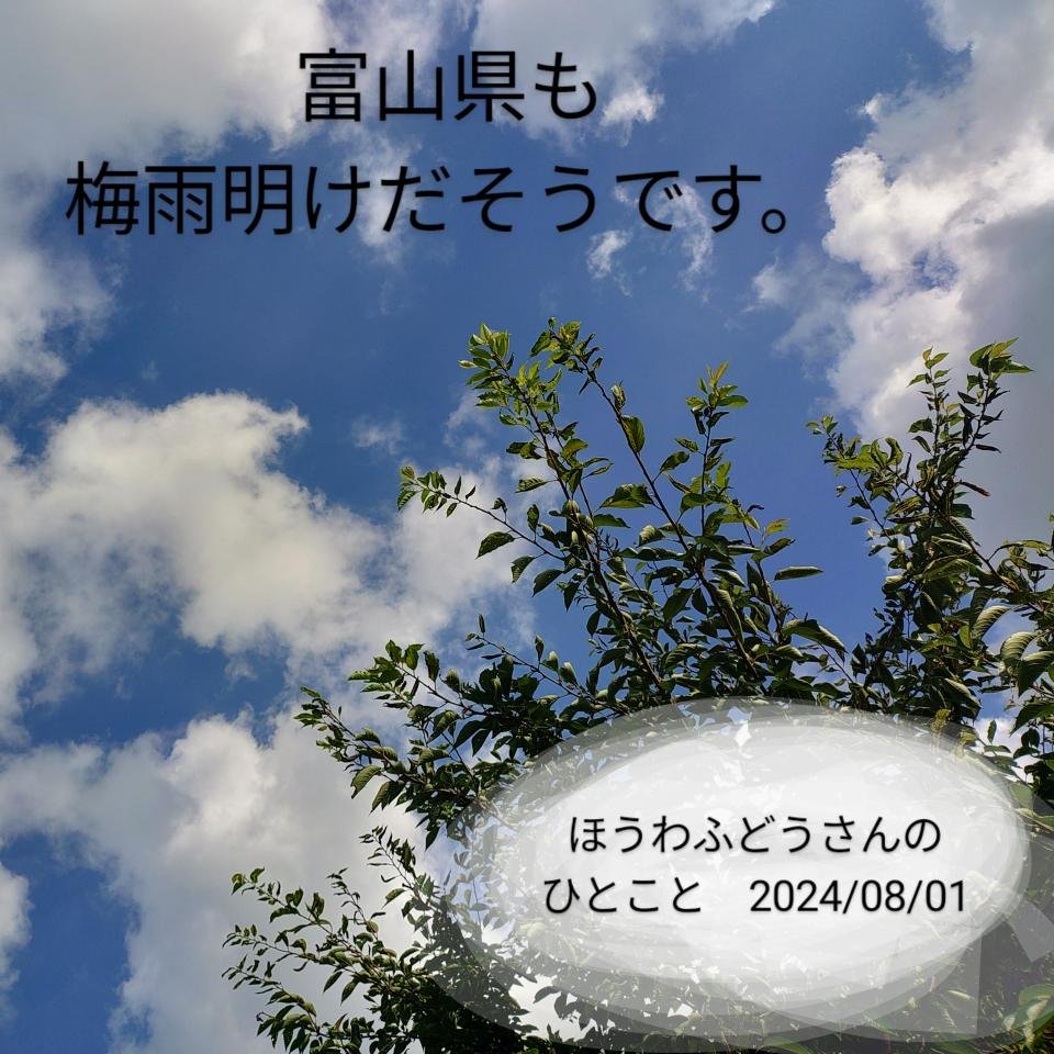 2024年8月1日 富山県も梅雨明けだそうです。